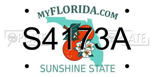 S4173A Florida License Plate