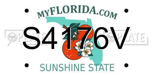 S4176V Florida License Plate