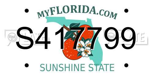 S417799 Florida License Plate