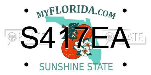 S417EA Florida License Plate