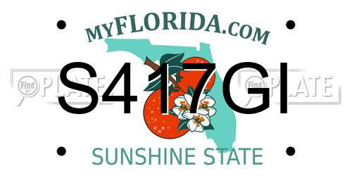 S417GI Florida License Plate