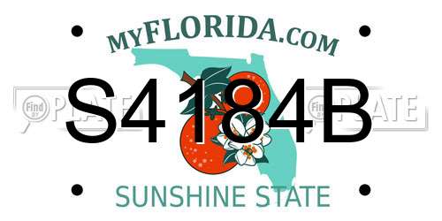 S4184B Florida License Plate