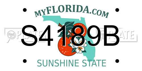 S4189B Florida License Plate