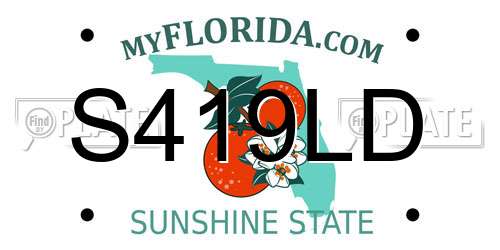 S419LD Florida License Plate