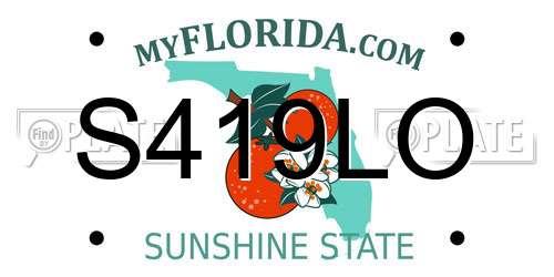 S419LO Florida License Plate
