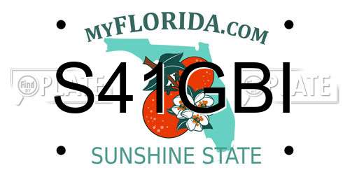 S41GBI Florida License Plate