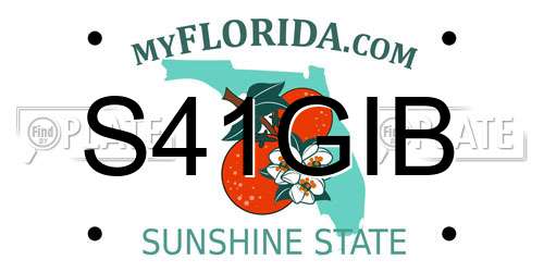 S41GIB Florida License Plate