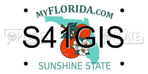 S41GIS Florida License Plate