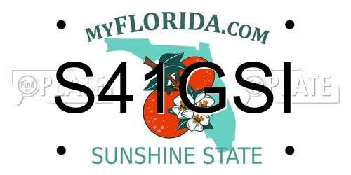 S41GSI Florida License Plate
