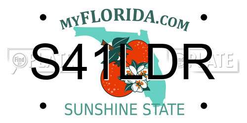 S41LDR Florida License Plate