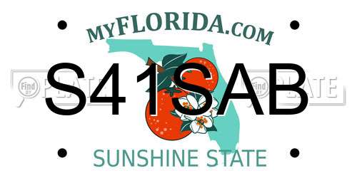 S41SAB Florida License Plate