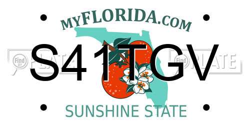 S41TGV Florida License Plate