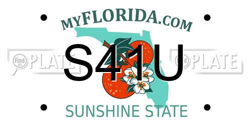 S41U Florida License Plate