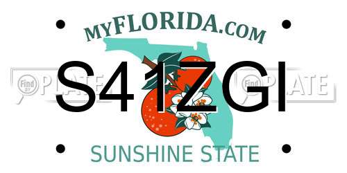 S41ZGI Florida License Plate