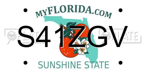 S41ZGV Florida License Plate