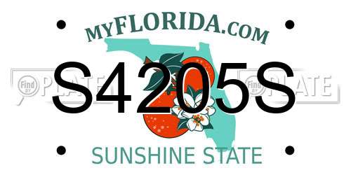 S4205S Florida License Plate