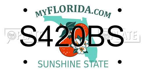 S420BS Florida License Plate