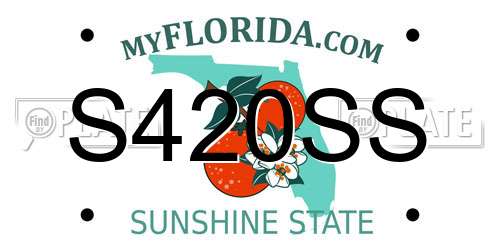 S420SS Florida License Plate