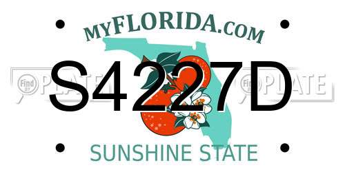 S4227D Florida License Plate