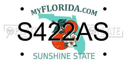 S422AS Florida License Plate