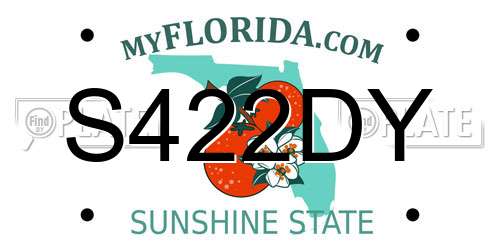 S422DY Florida License Plate