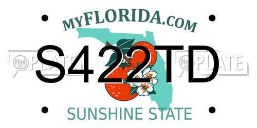 S422TD Florida License Plate