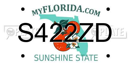 S422ZD Florida License Plate