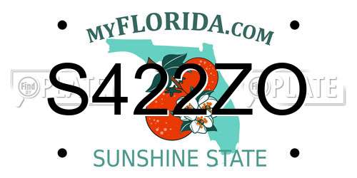 S422ZO Florida License Plate