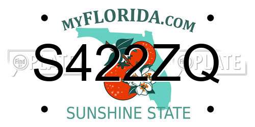 S422ZQ Florida License Plate