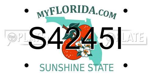 S4245I Florida License Plate