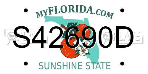 S42690D Florida License Plate