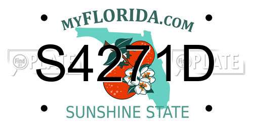S4271D Florida License Plate