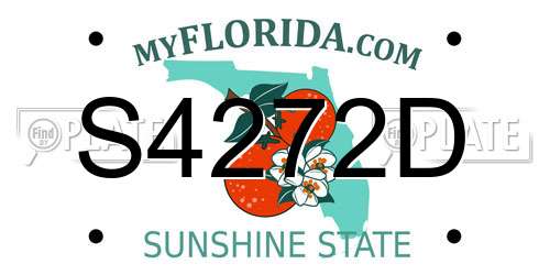 S4272D Florida License Plate