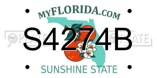 S4274B Florida License Plate