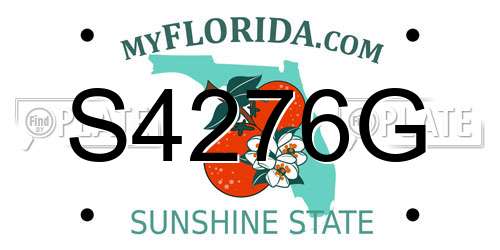 S4276G Florida License Plate