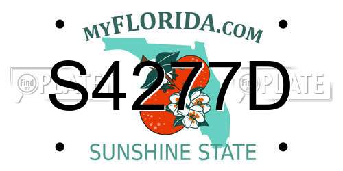 S4277D Florida License Plate