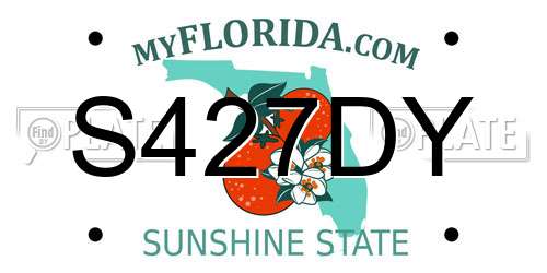 S427DY Florida License Plate