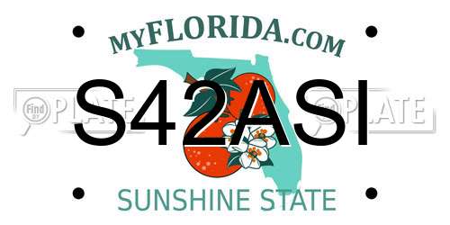 S42ASI Florida License Plate