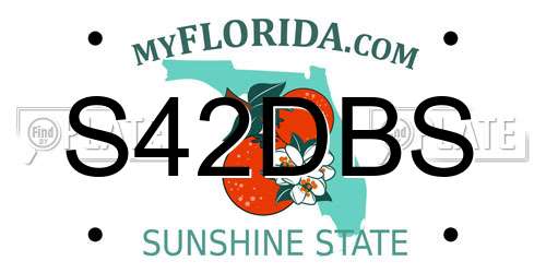 S42DBS Florida License Plate