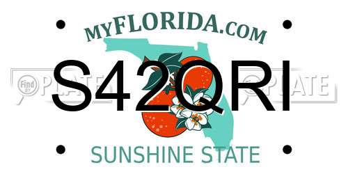 S42QRI Florida License Plate