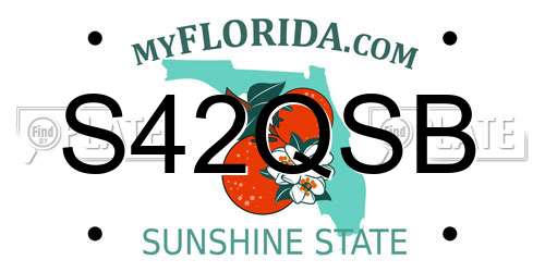 S42QSB Florida License Plate