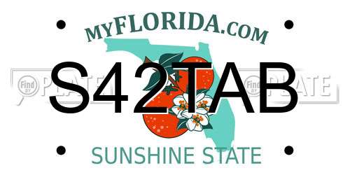S42TAB Florida License Plate