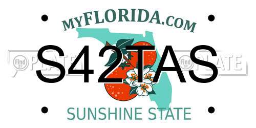 S42TAS Florida License Plate