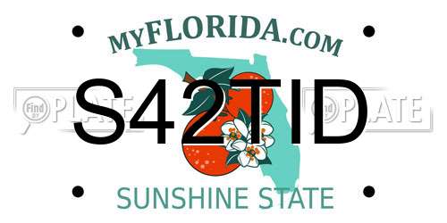 S42TID Florida License Plate