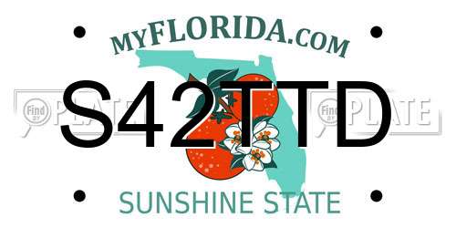S42TTD Florida License Plate