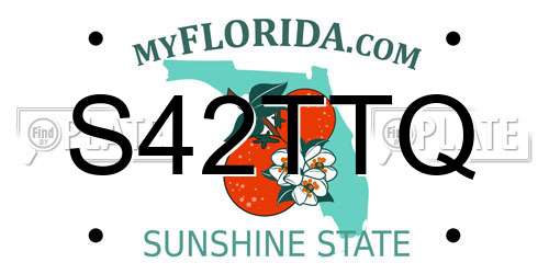 S42TTQ Florida License Plate