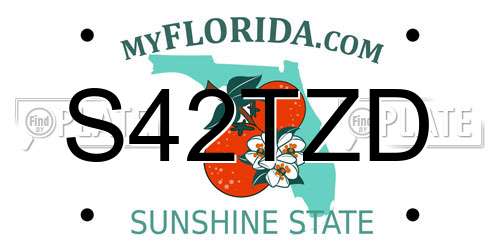 S42TZD Florida License Plate