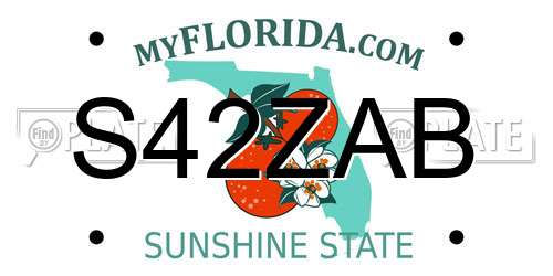 S42ZAB Florida License Plate