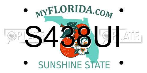 S438UI Florida License Plate