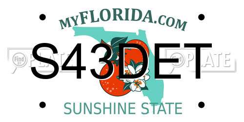S43DET Florida License Plate